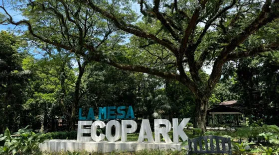 ICYMI: LA MESA IS WAVING (again) 🍃